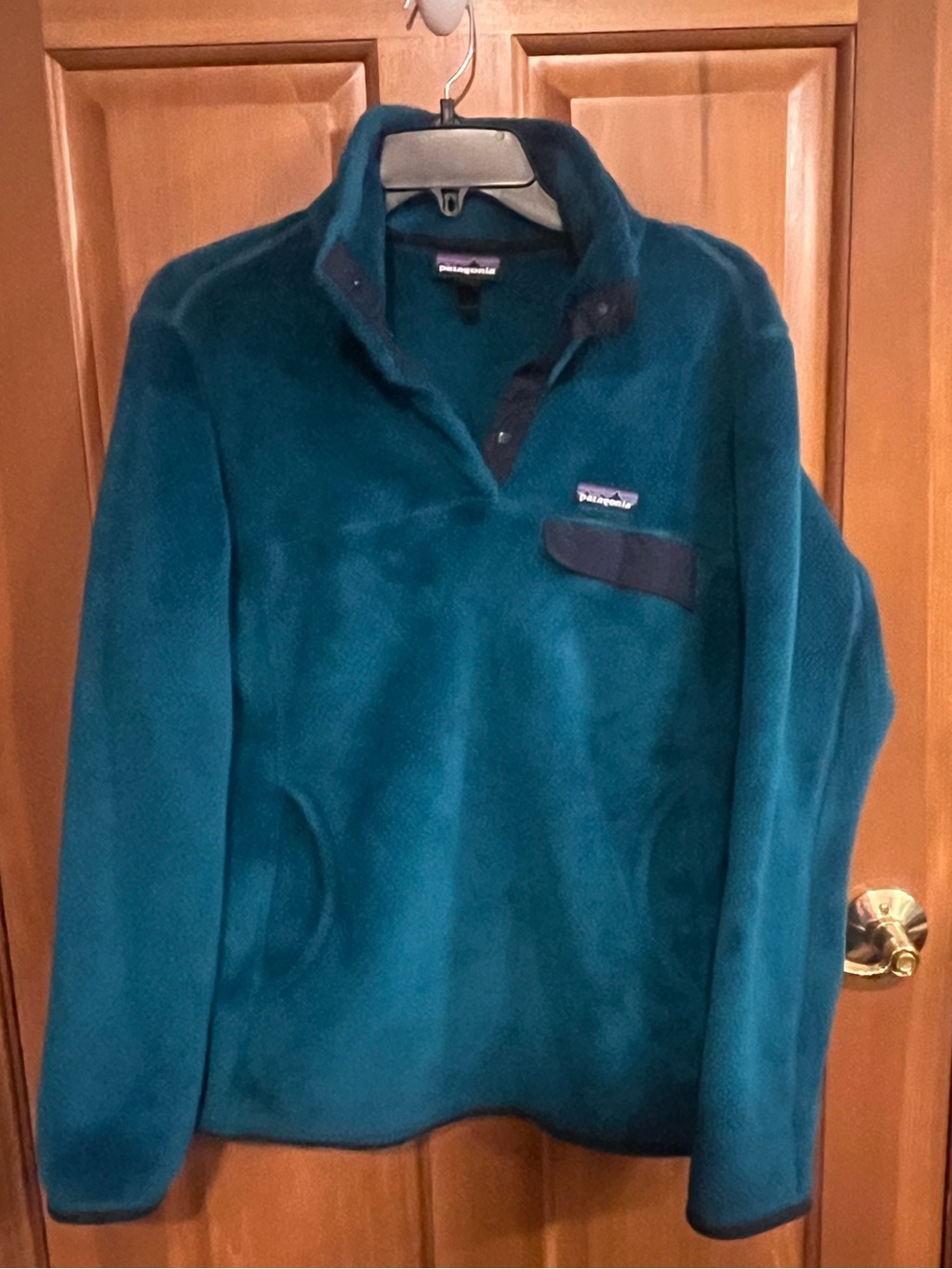 Patagonia Teal Snap-Placket Fleece Pullover